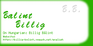 balint billig business card